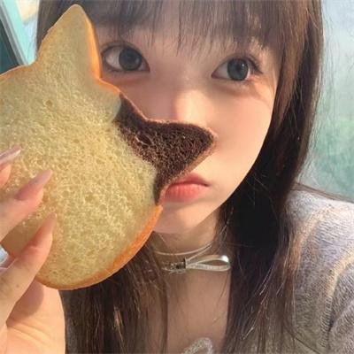 星际狗狗